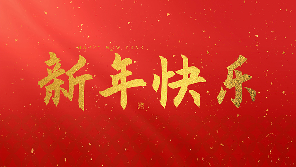 麗水市威儀自動(dòng)化技術(shù)有限公司祝全國(guó)人民2025新年快樂(lè)！